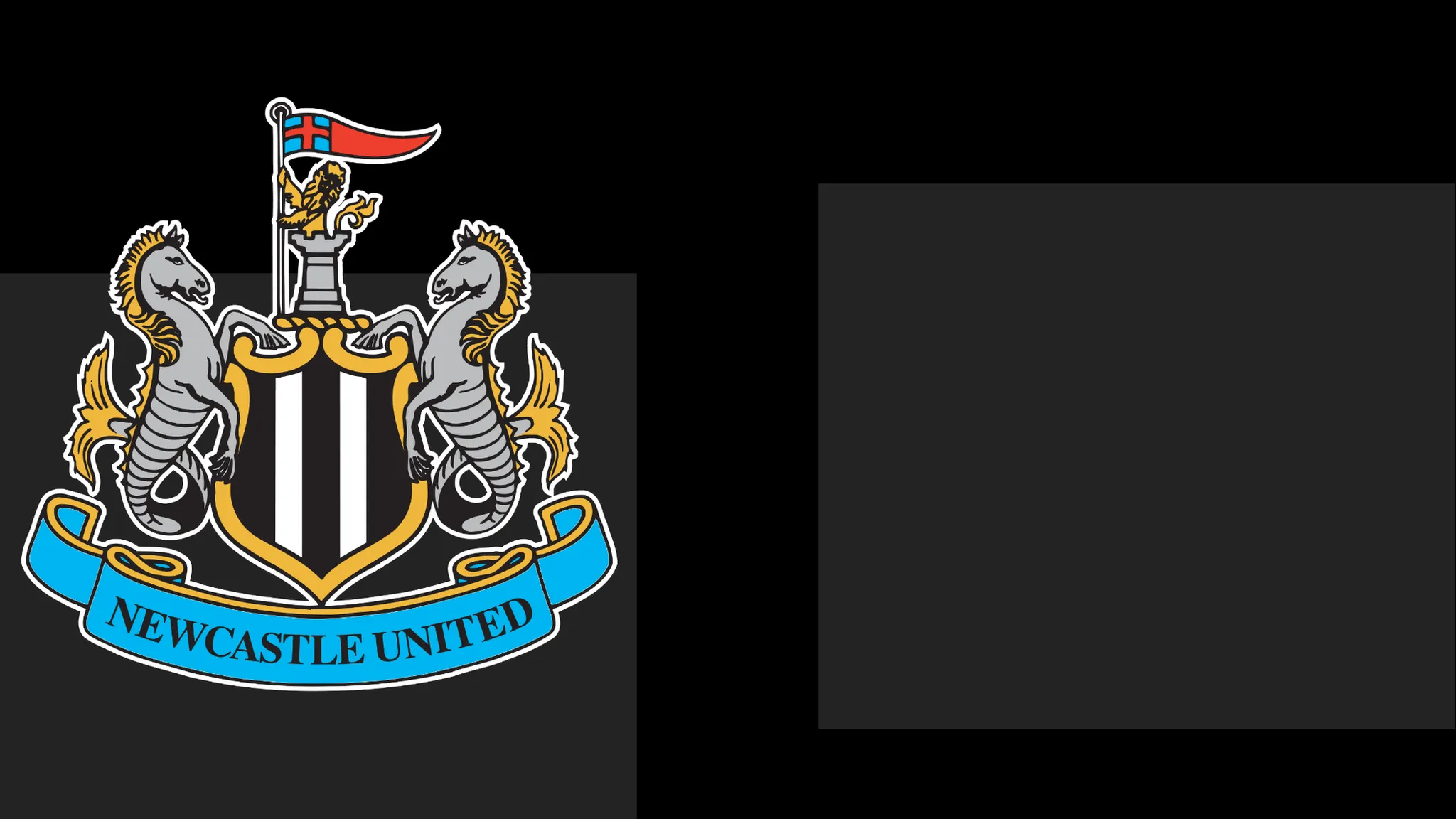 Newcastle's boss Commends Team's Heart – However That Only Carries Them So Far