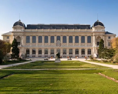 Historic Gold Samples Taken in Daring Raid at French National Museum